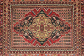 Tribal Persian Rug